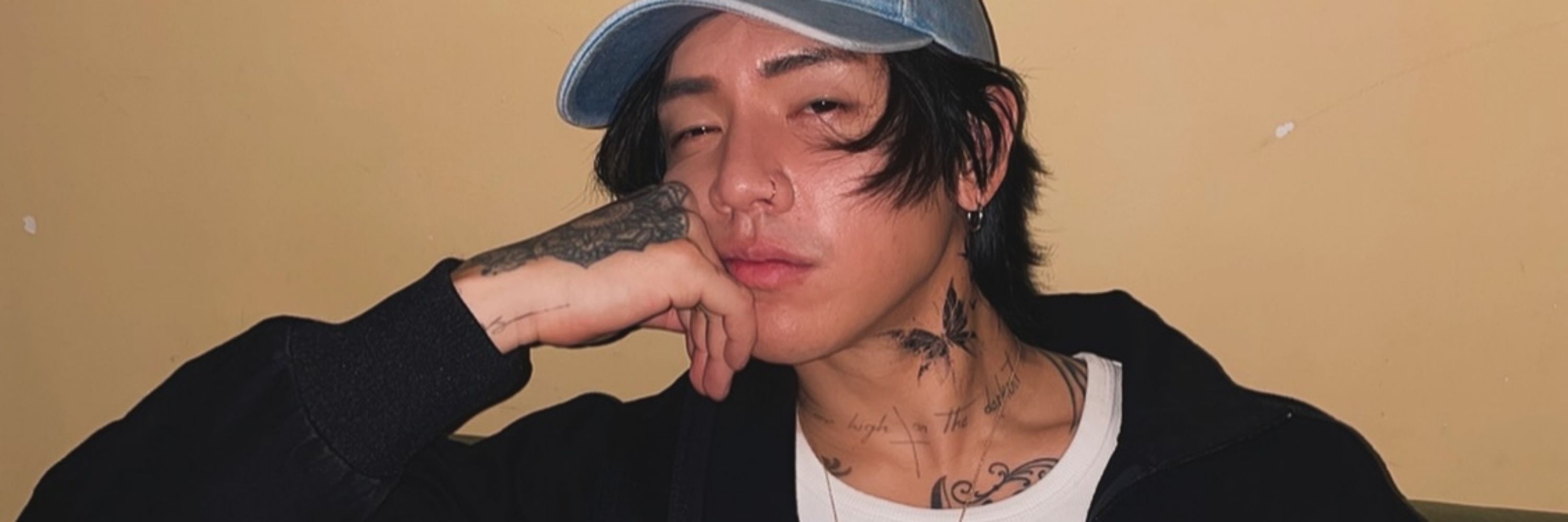🐨 