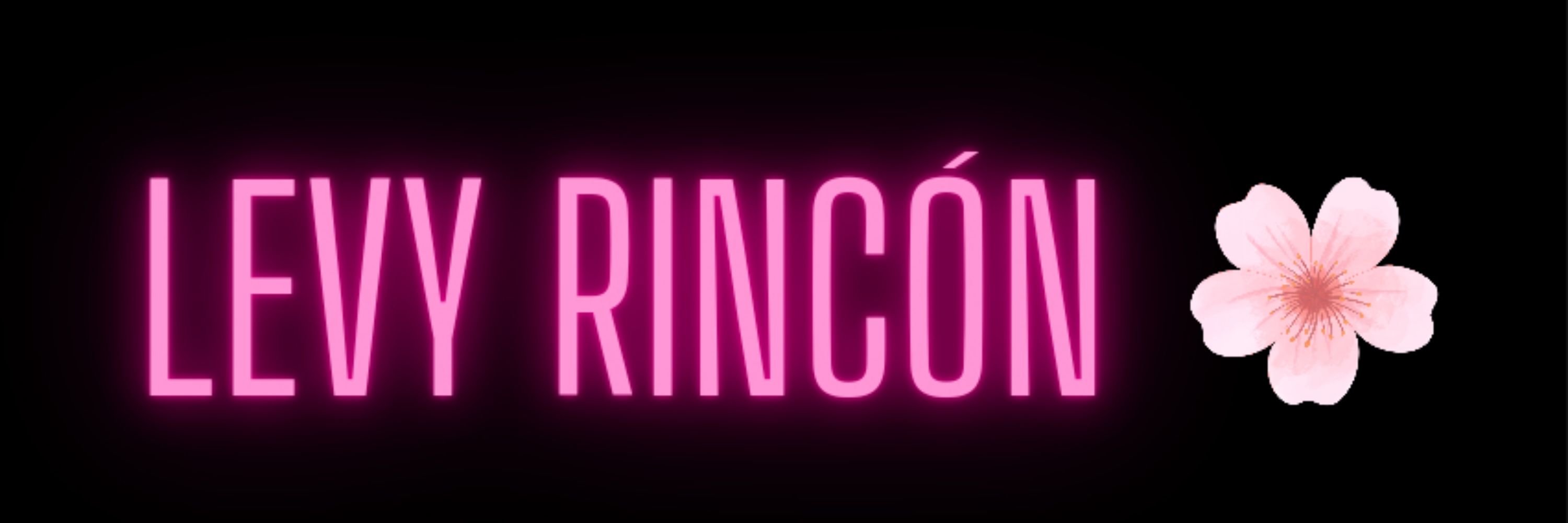 Levy Rincón