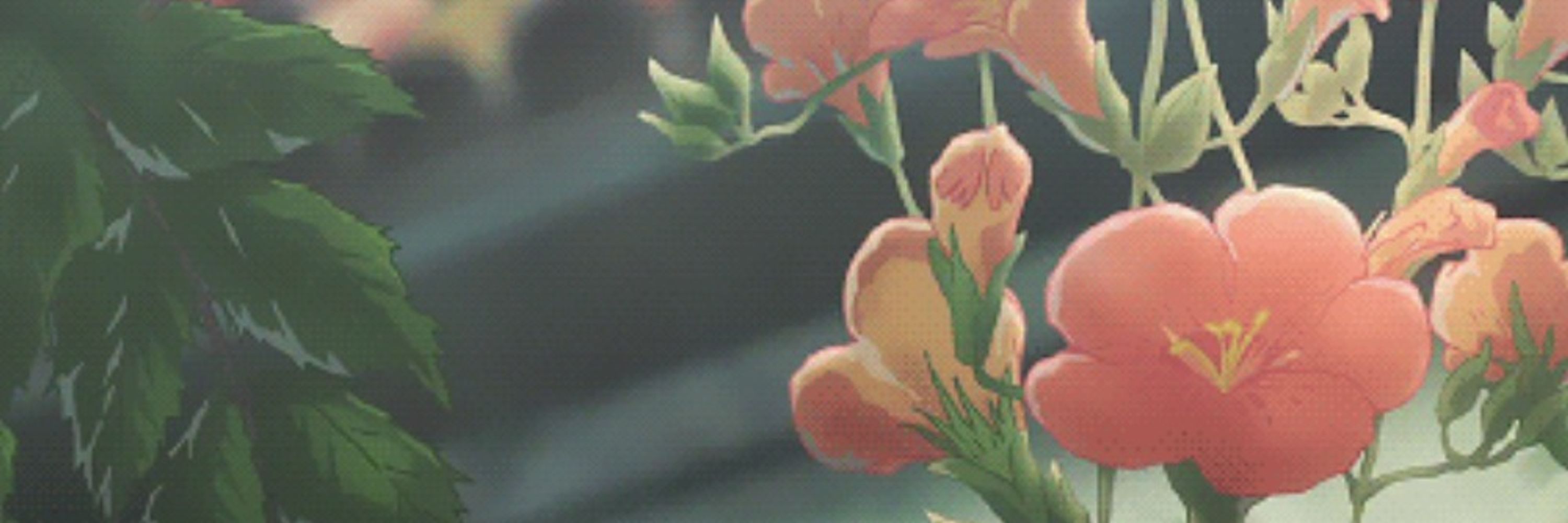 Clover