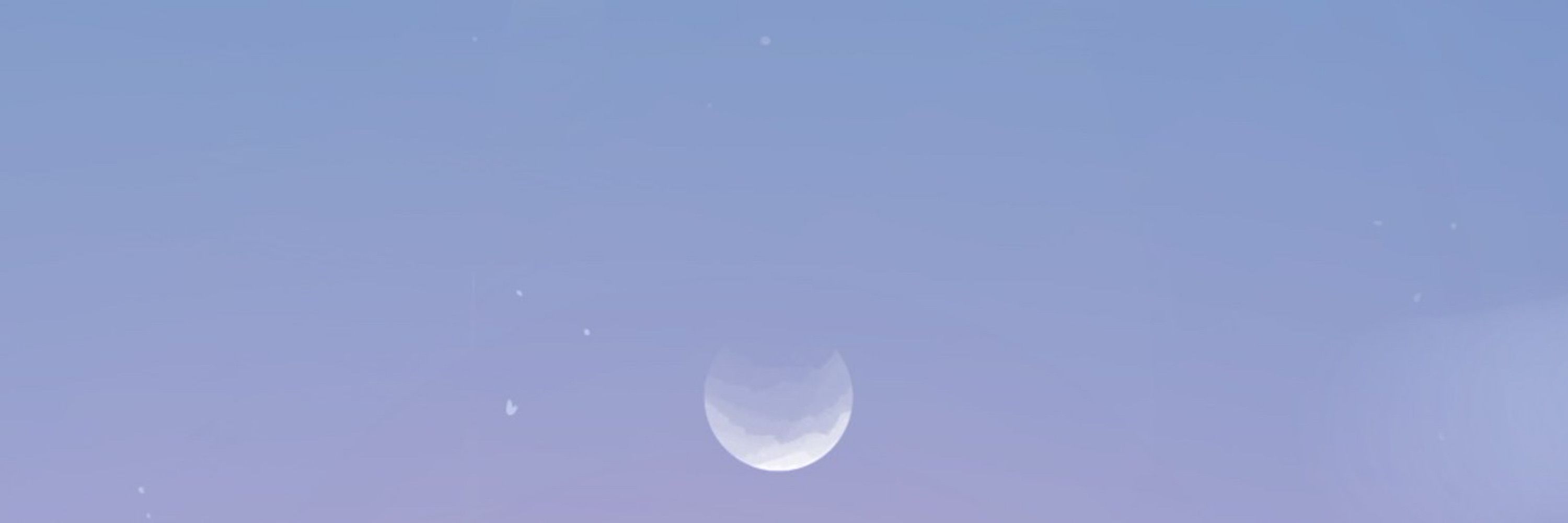 Starry 🌌