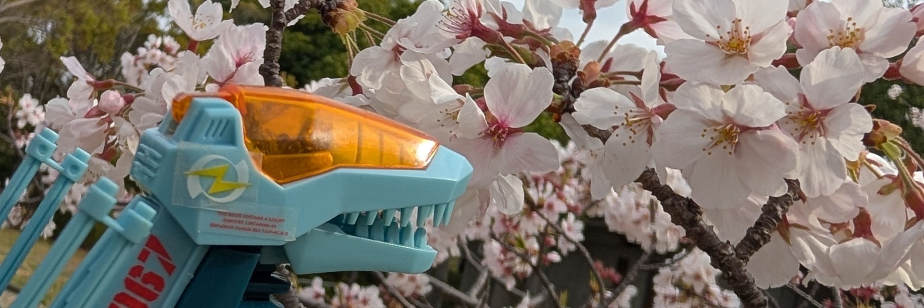 フランドール