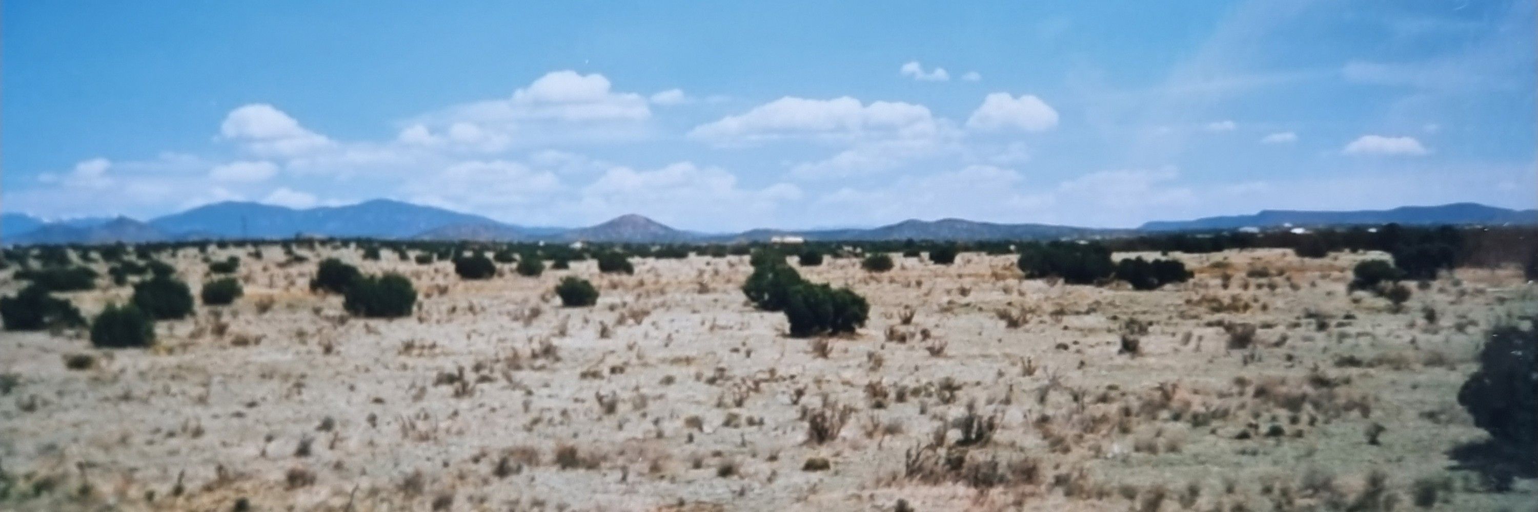 Maurino