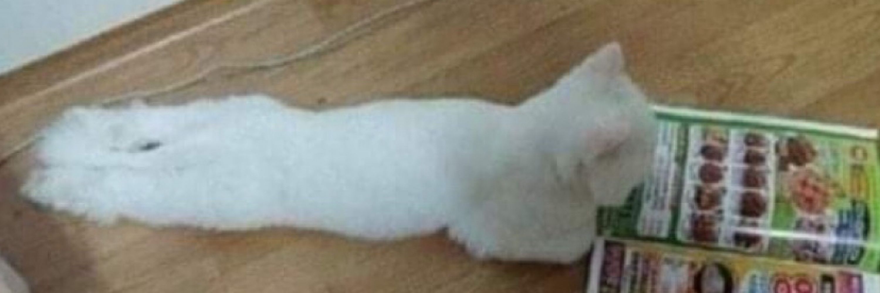 무