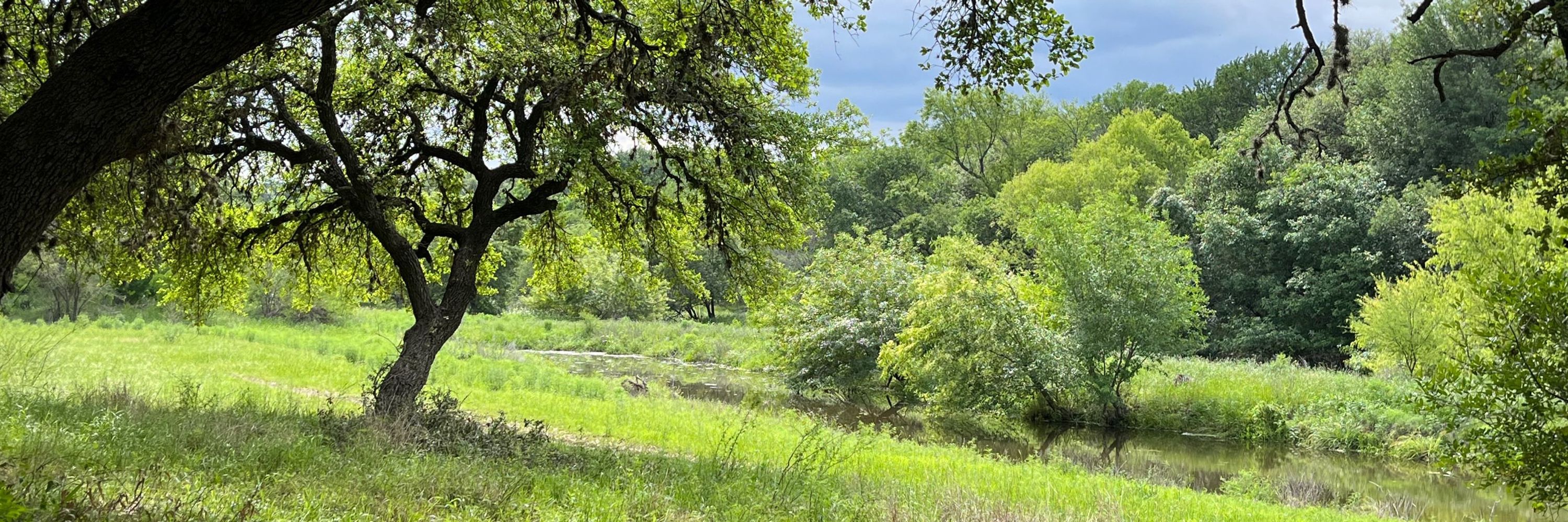 Fen