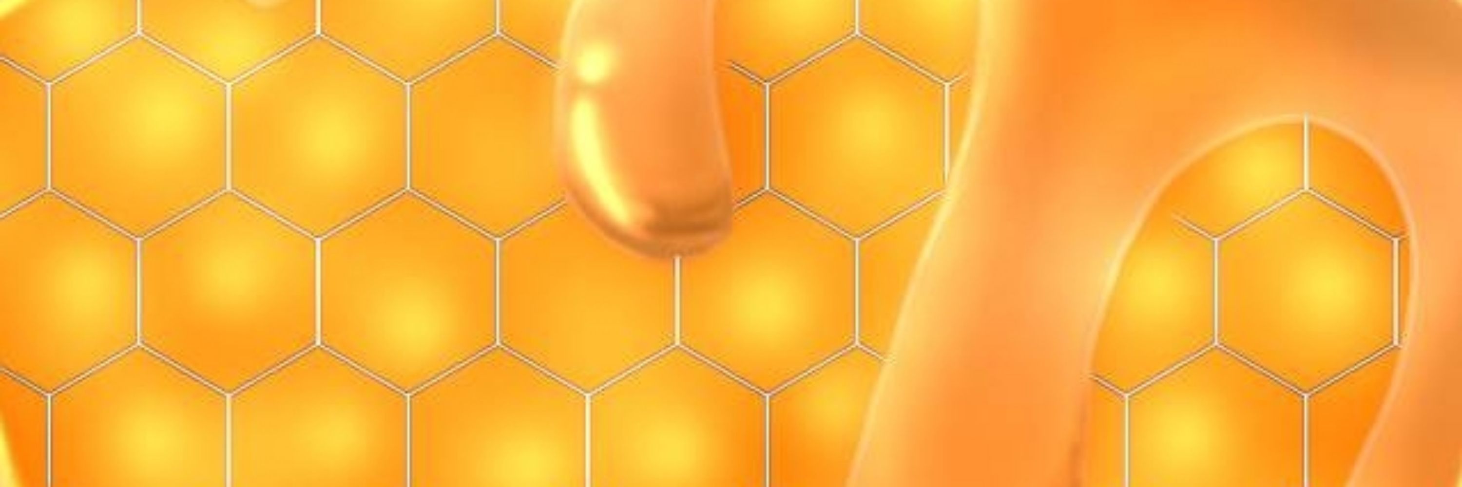 officialquantumhive