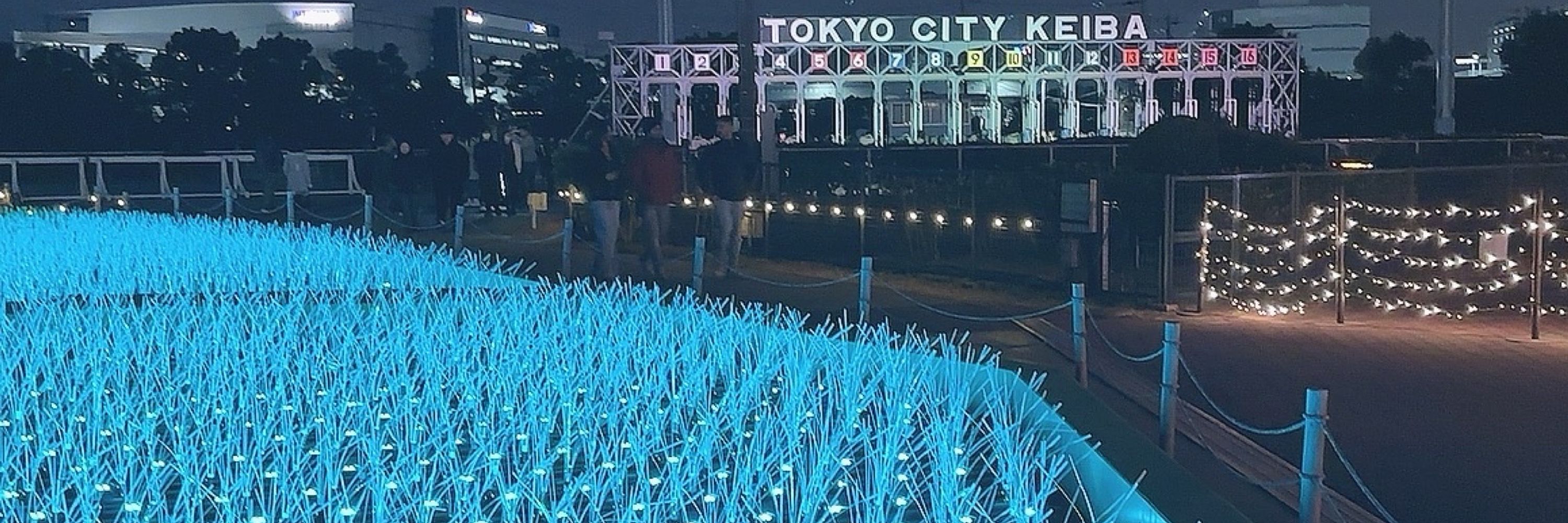なばり