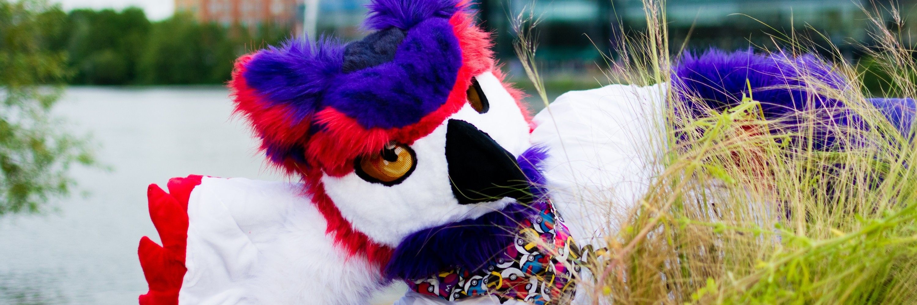 Big Purple Hoot