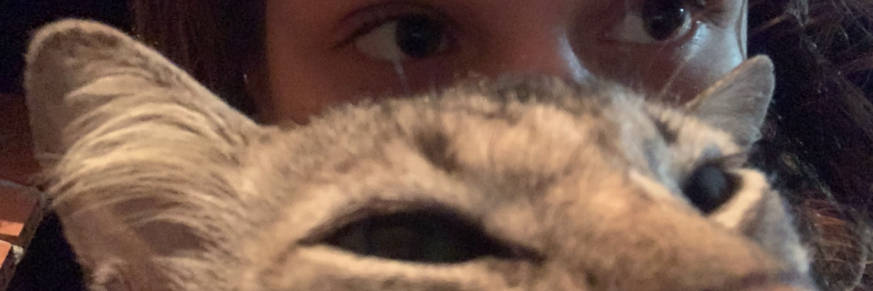 Vih