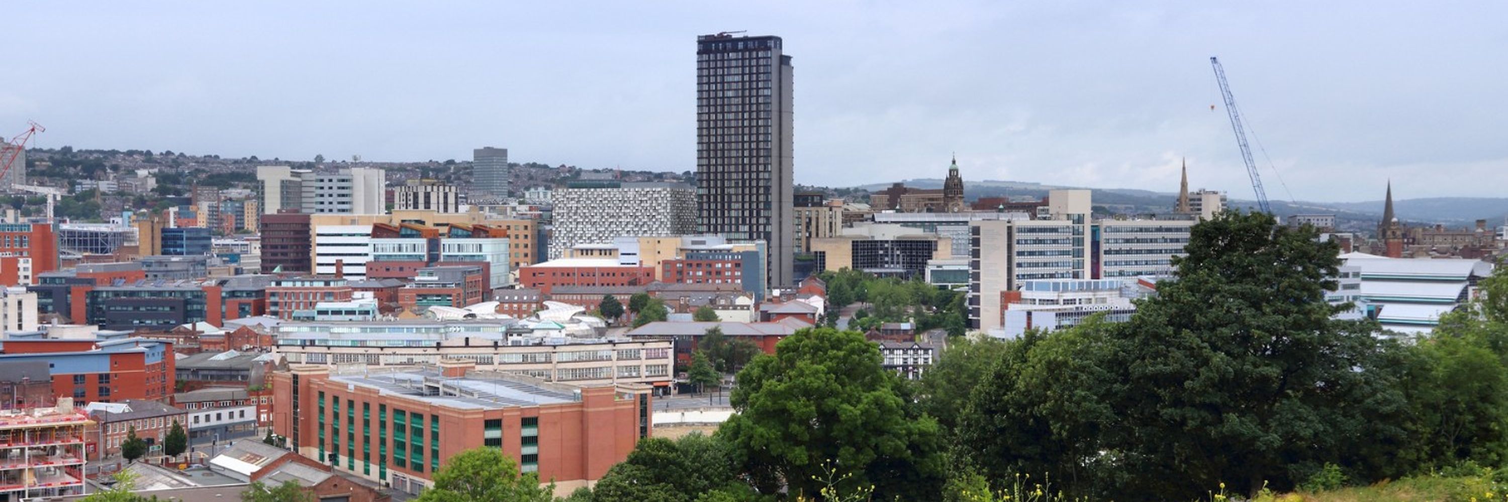 Healthwatch Sheffield