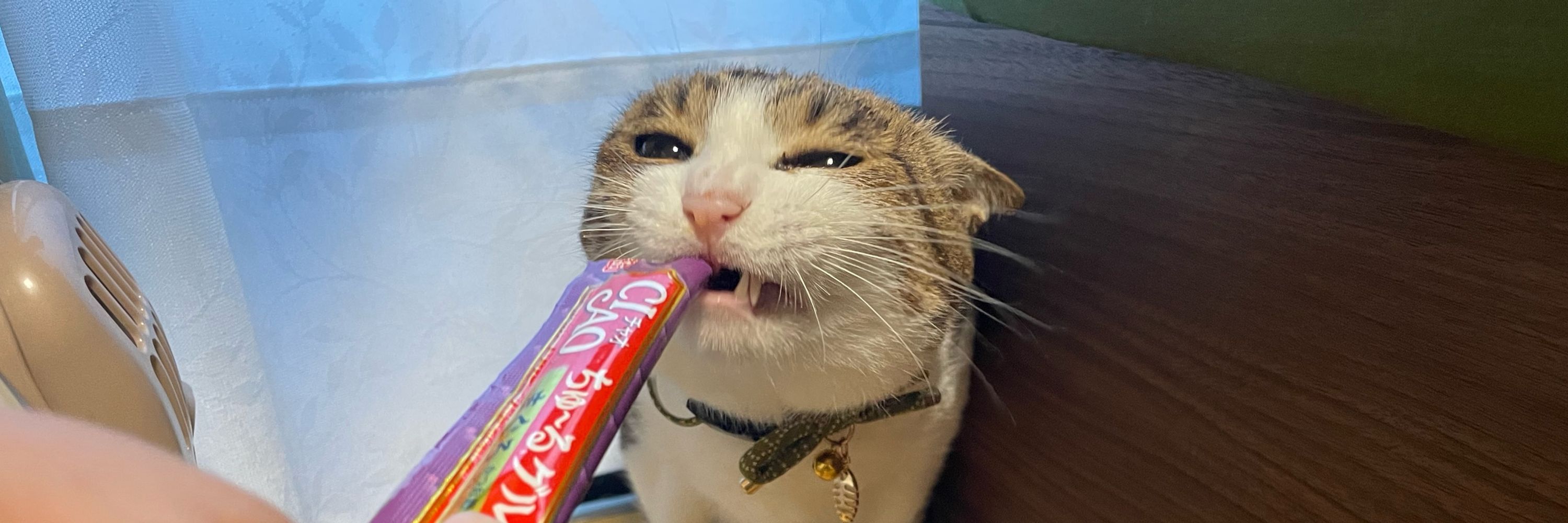 こころ