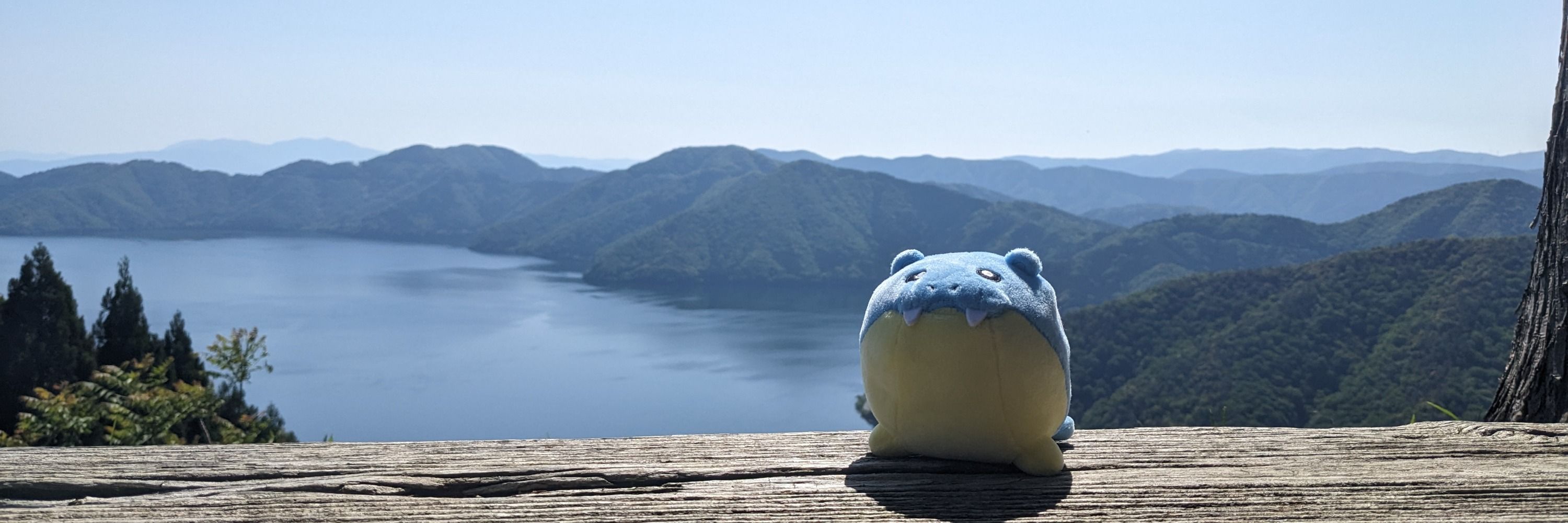 実