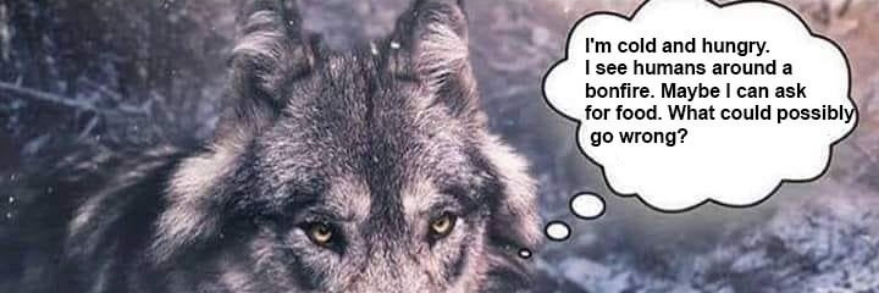 Eddie D. Radbode [🐺🥁] Sheptuber