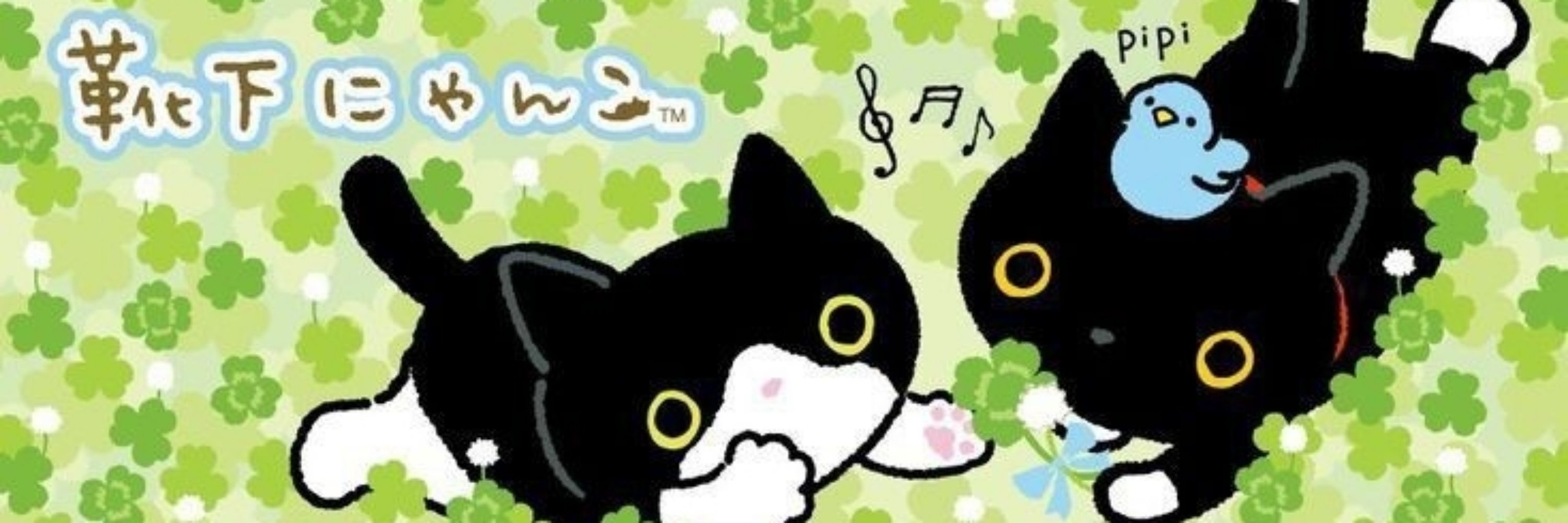 🎸🍊🌙 🦜🪬 🎵 🌷｡𖦹°‧⭑.ᐟ
