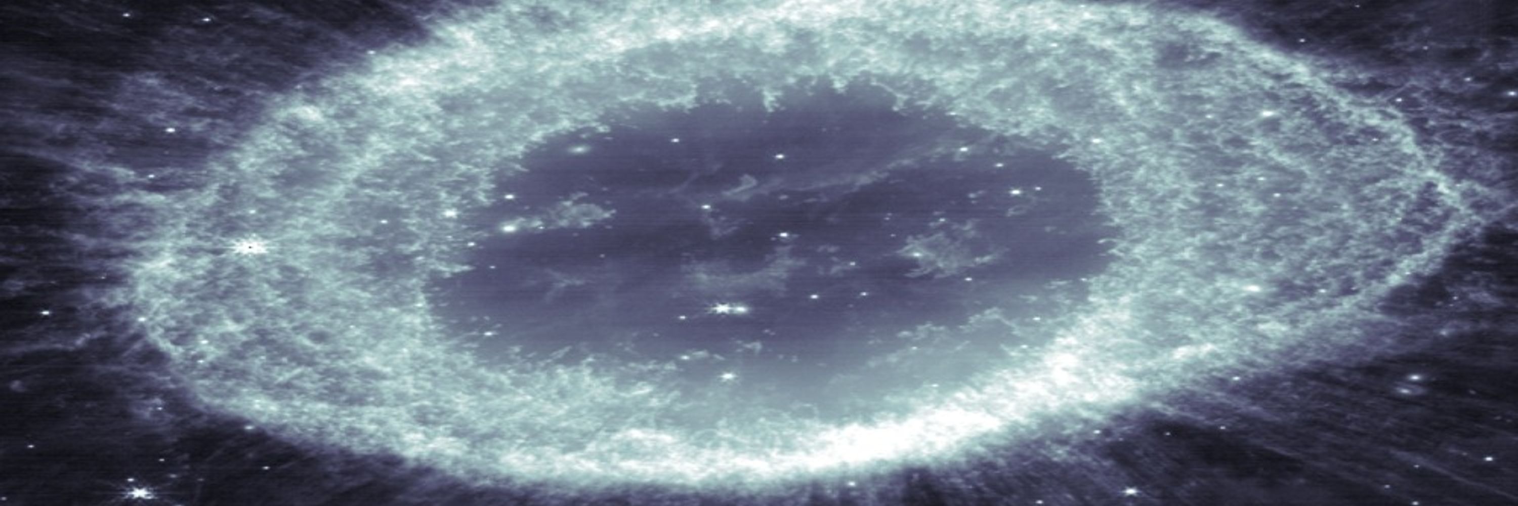 gotu