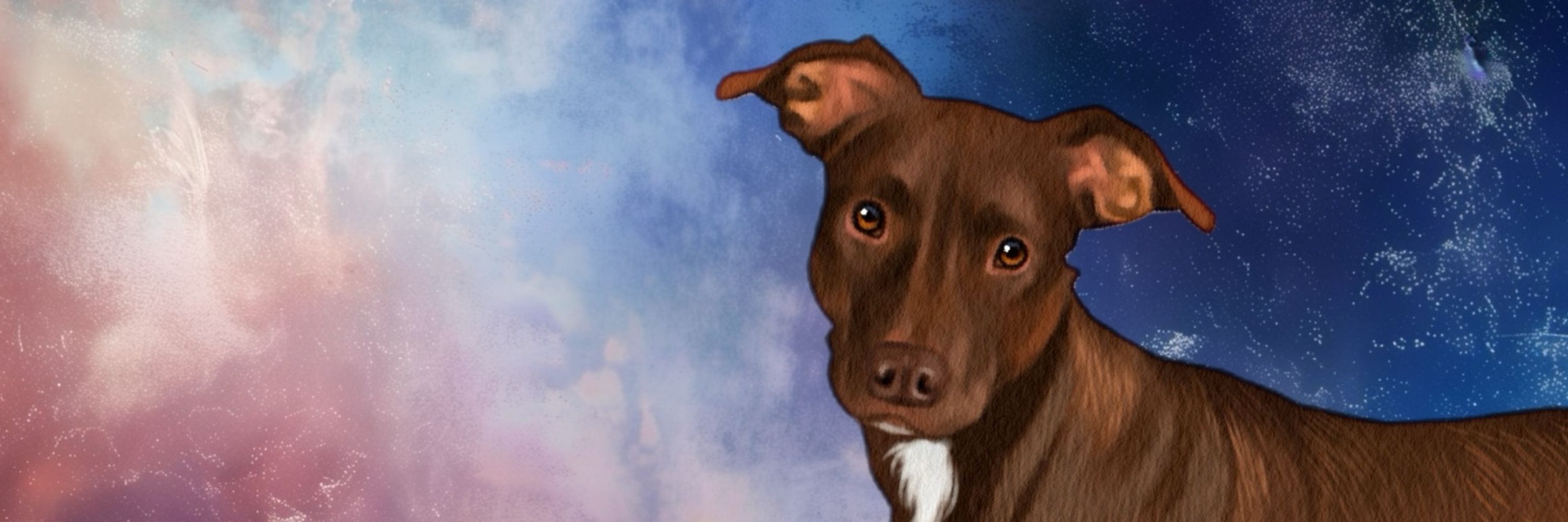 Kuku 🐕