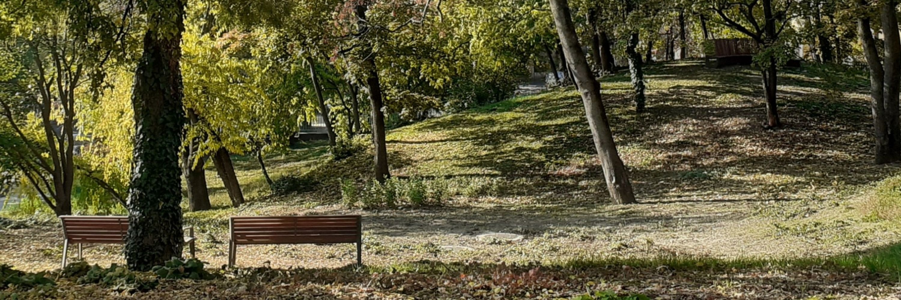 Zsófia Hajnal
