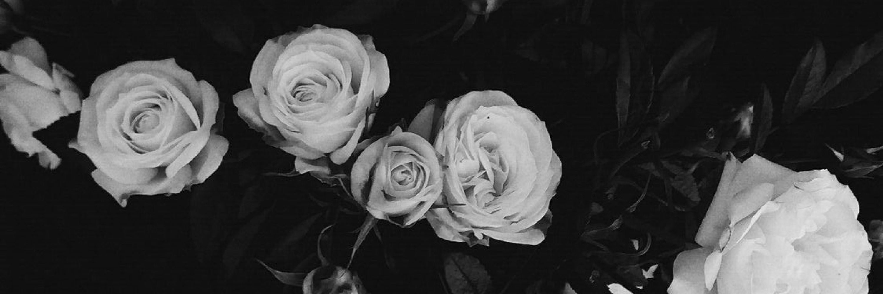 🥀