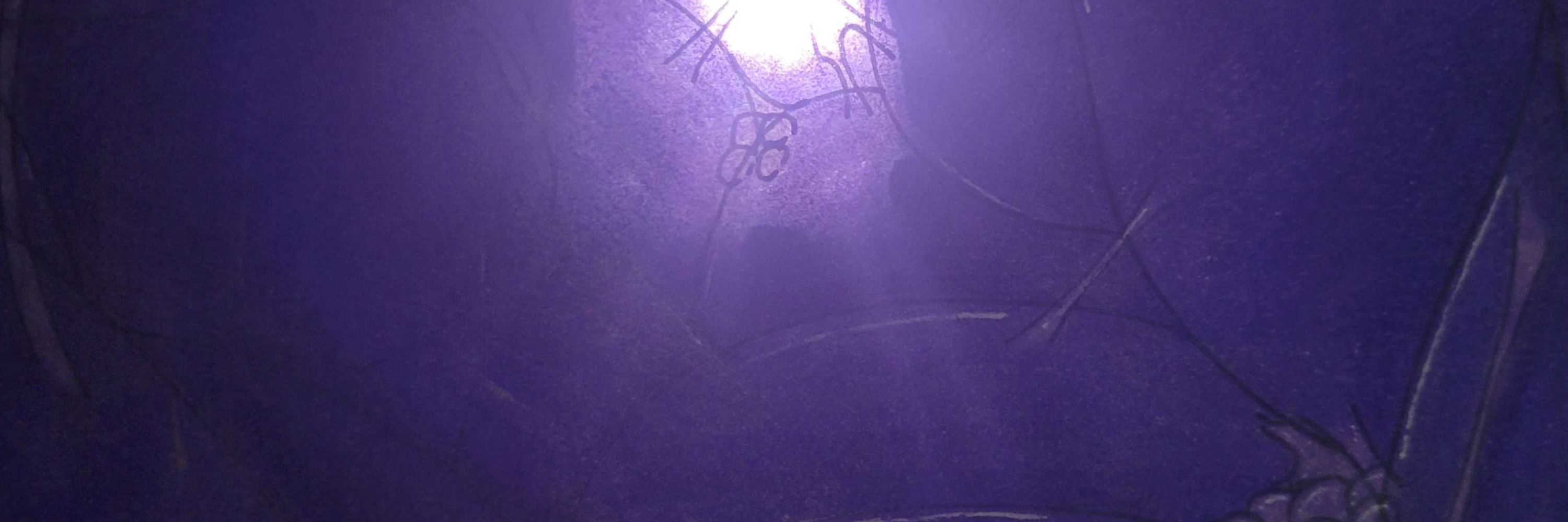 Insatiable Arachnid
