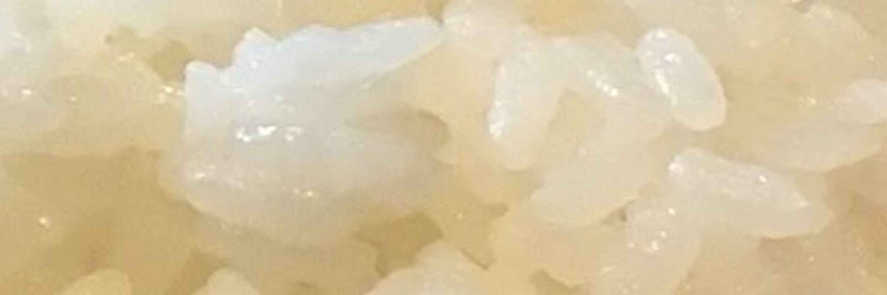 むぎごはん。