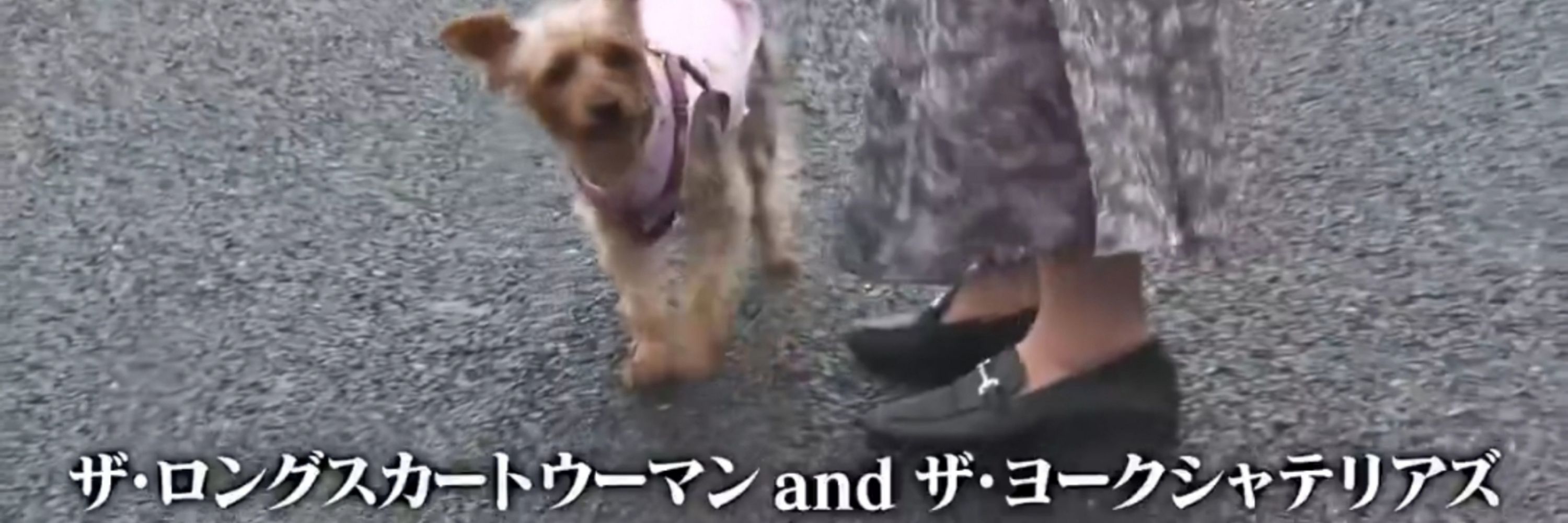 ゆせん