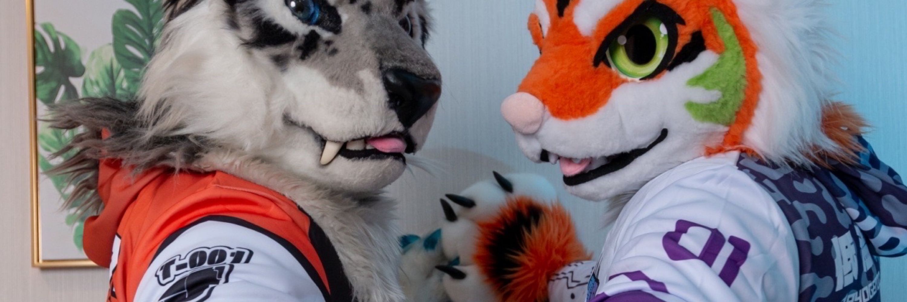 Teethティース 🐯