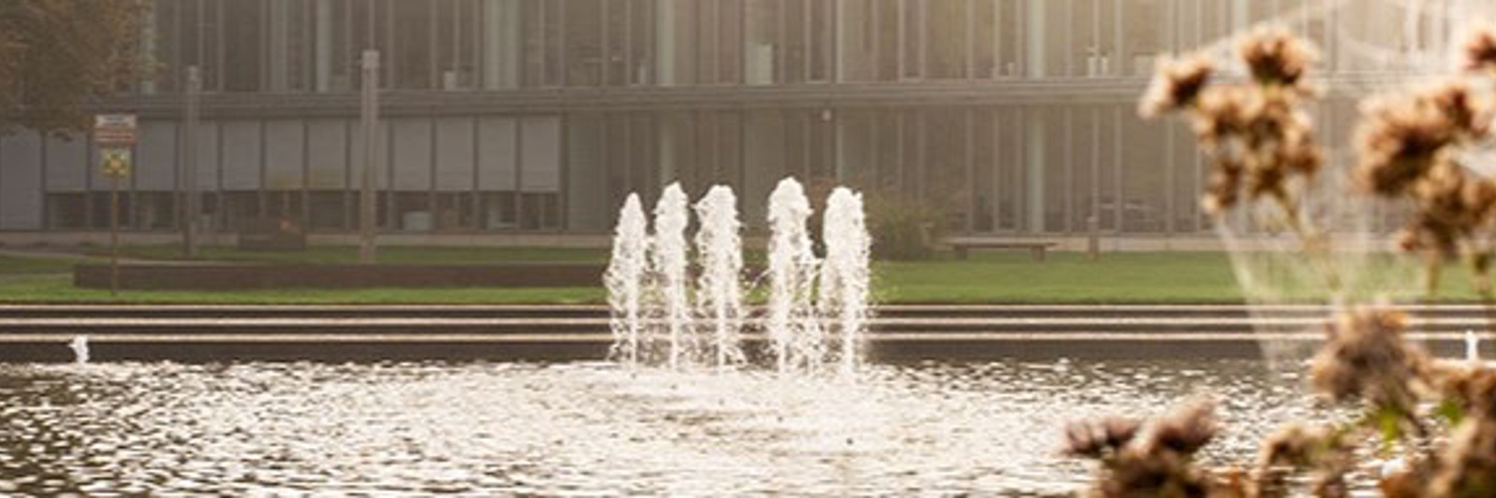 Hasso-Plattner-Institut