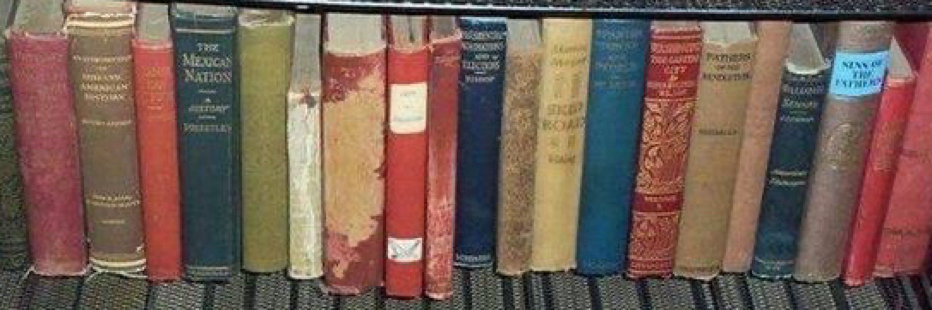 chicknology