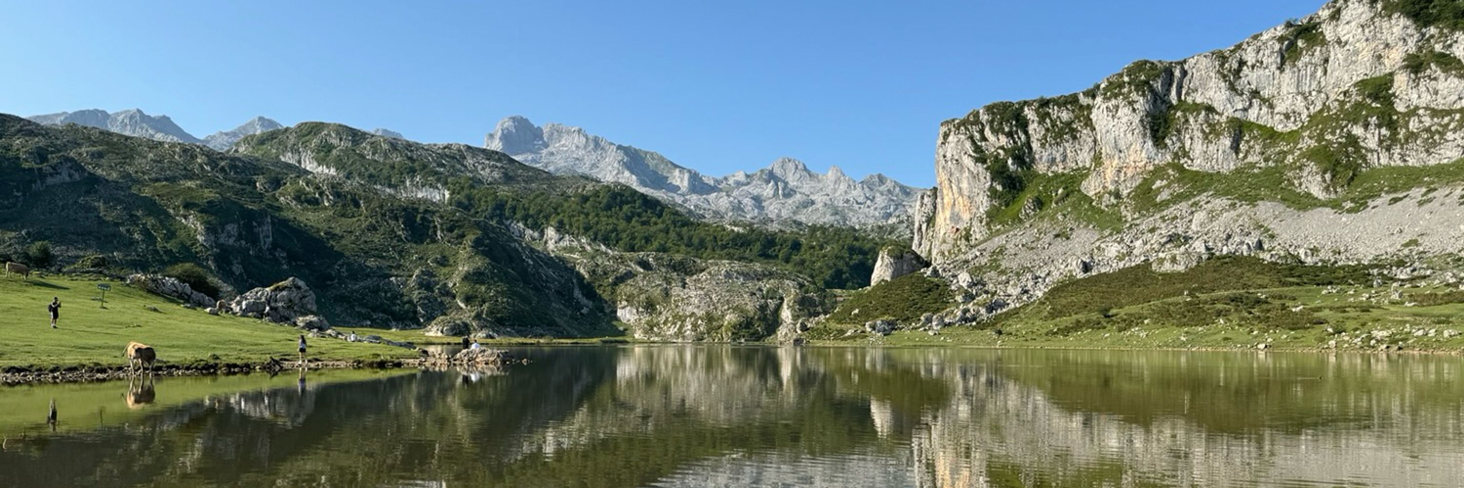 Rémi Fronzes