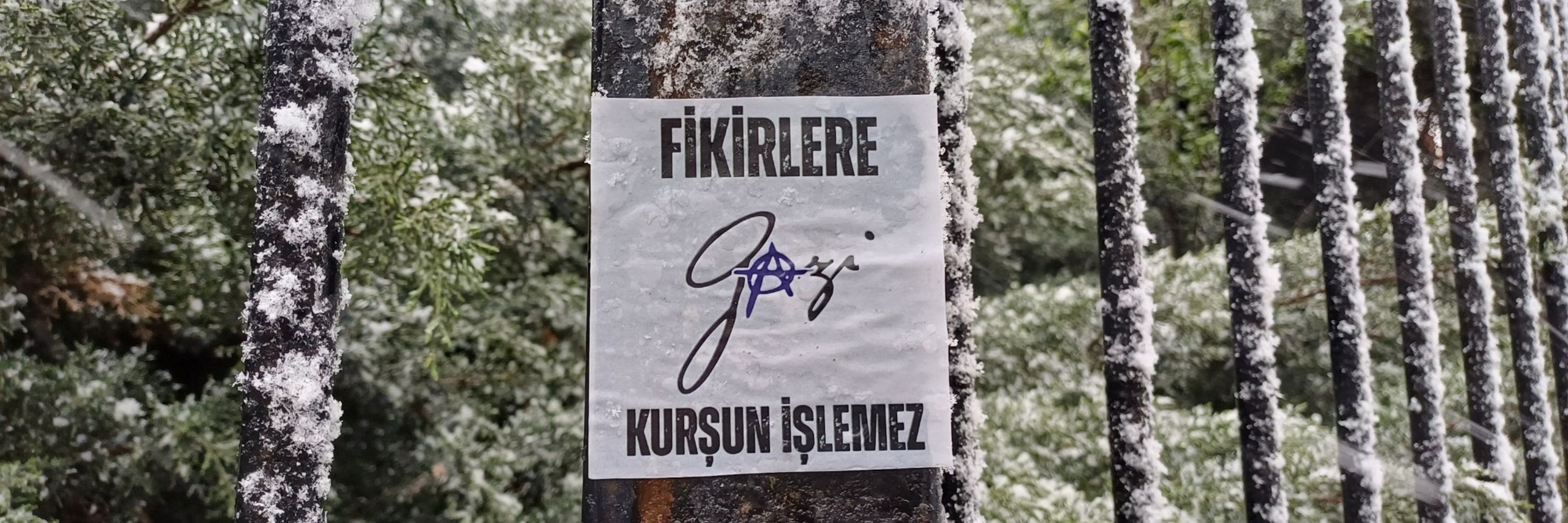 Timurlenk
