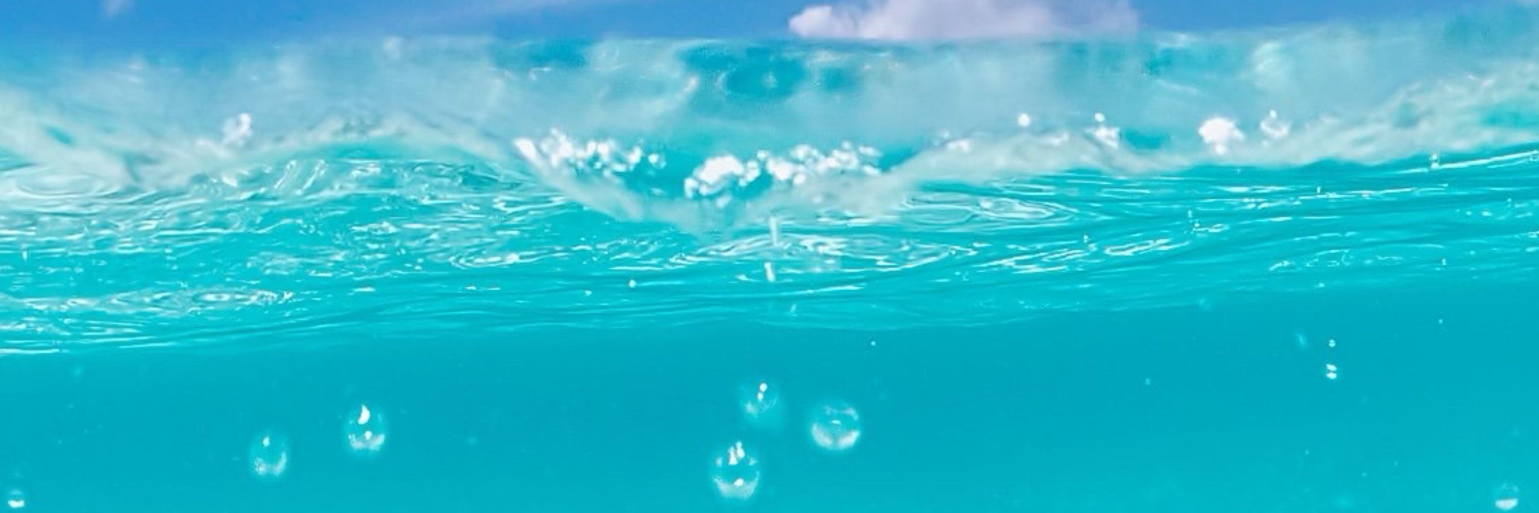 ツノダシ