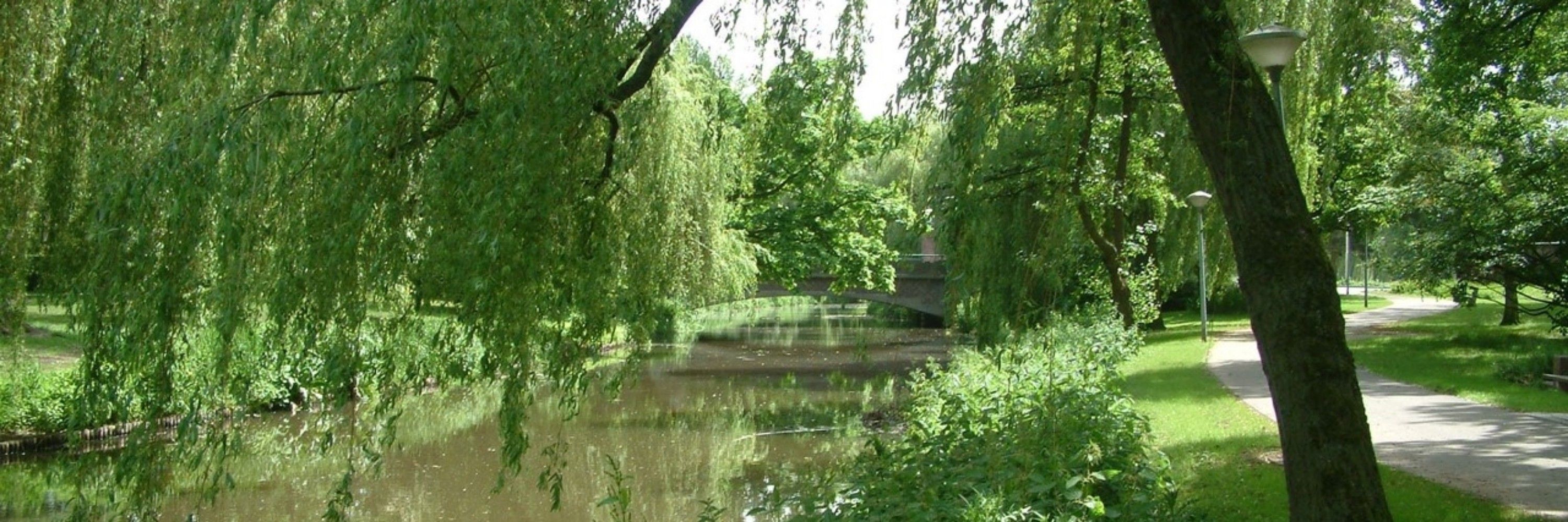 Jiske Palm