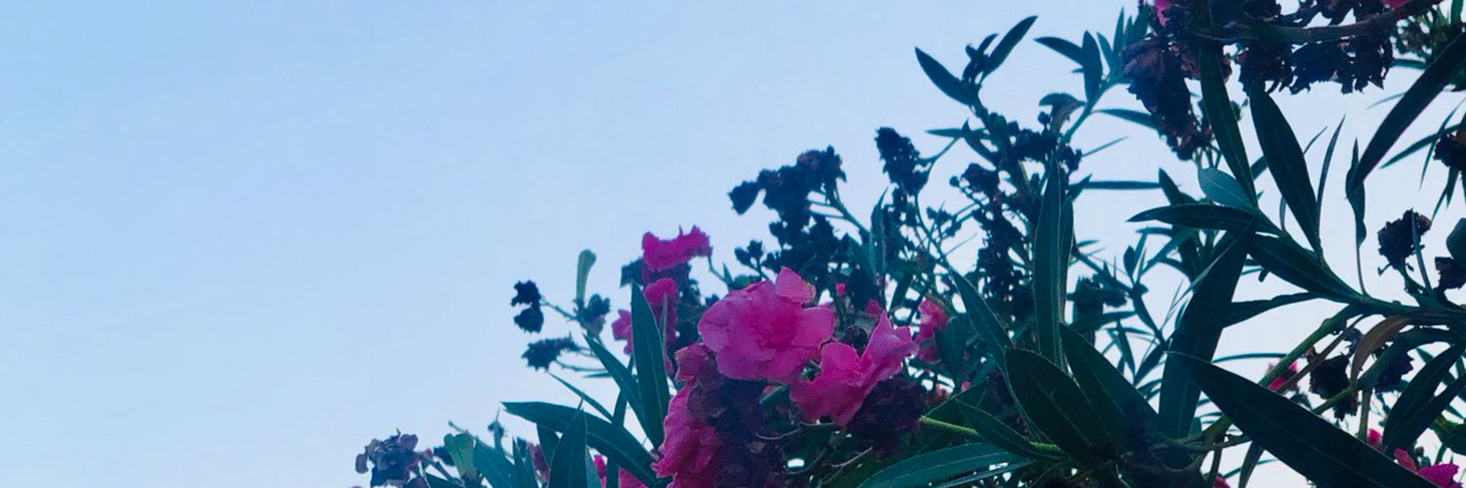 A.