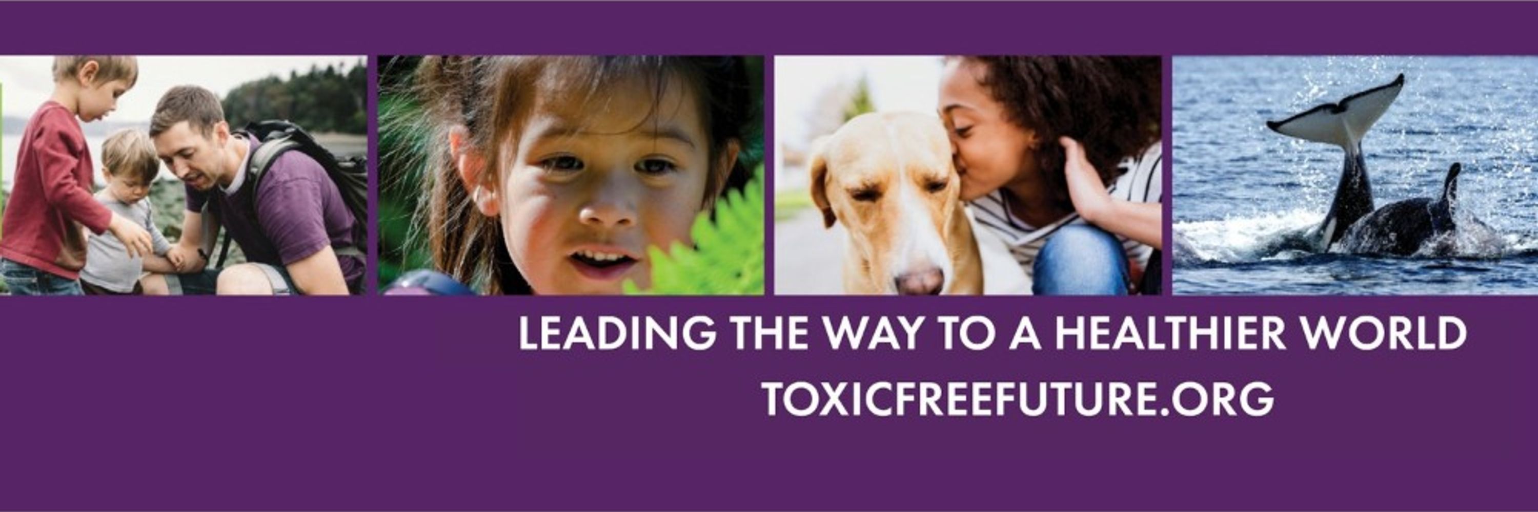 Toxic-Free Future