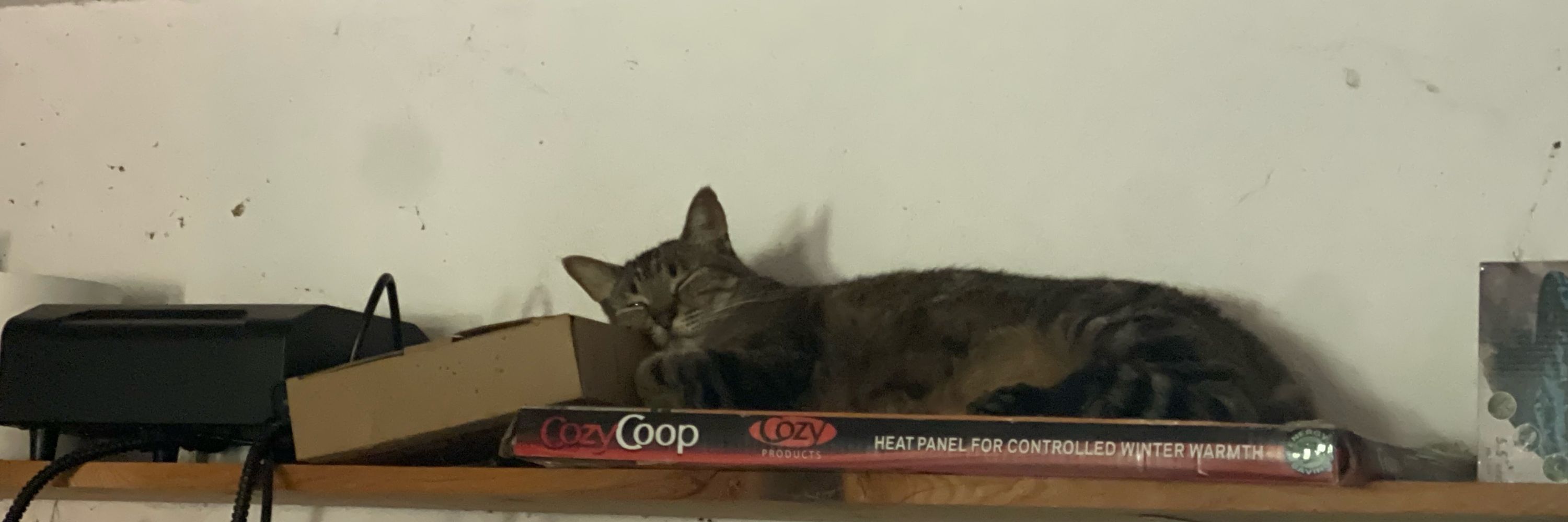Nova