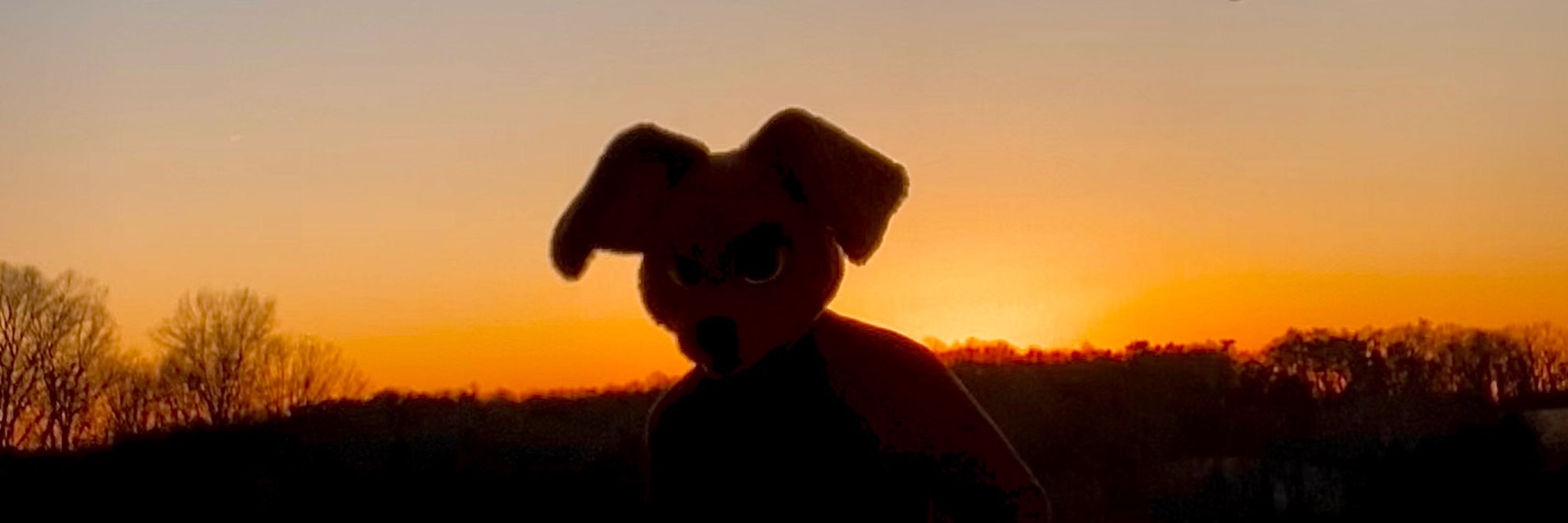It’s Pico @ FWA