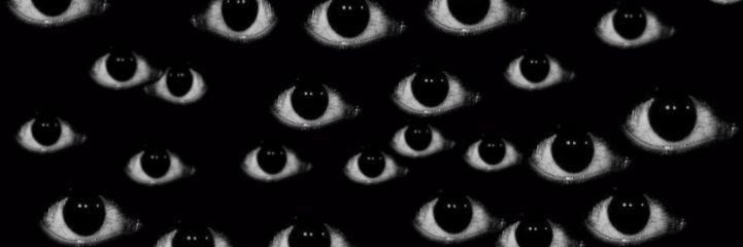 Observador