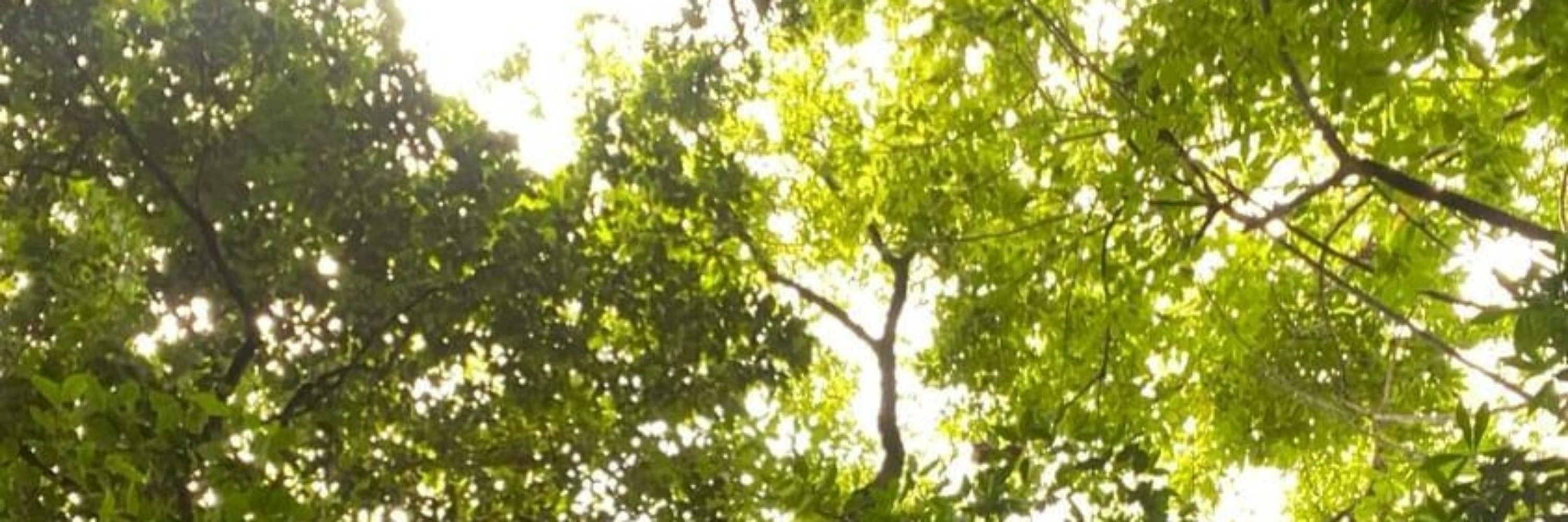 GreenSky