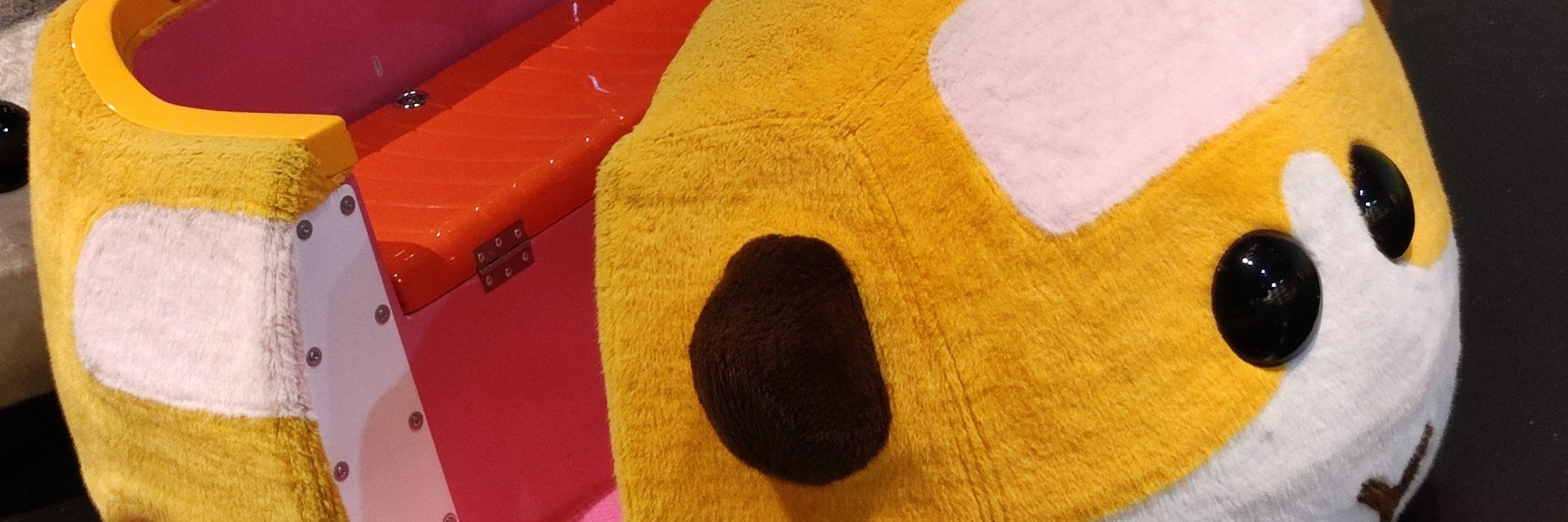 NApuipui