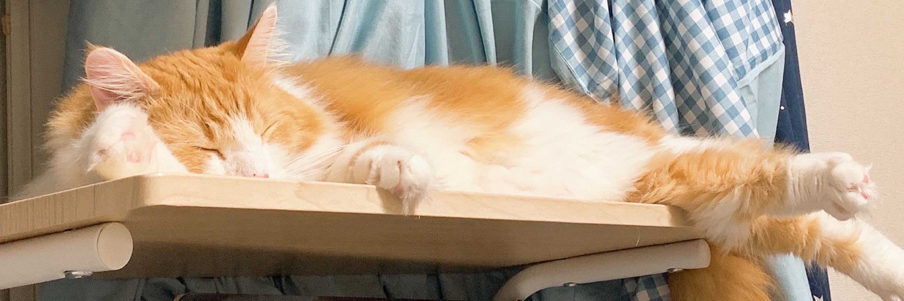 あさた