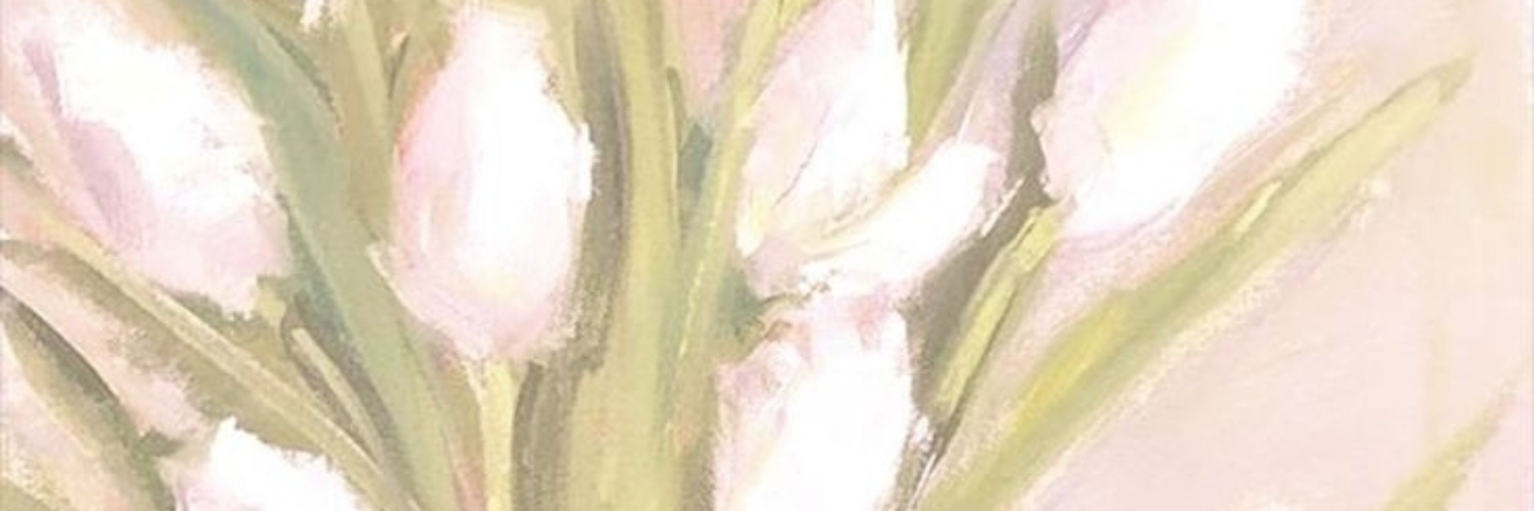 Annette 🌷 | shtwt