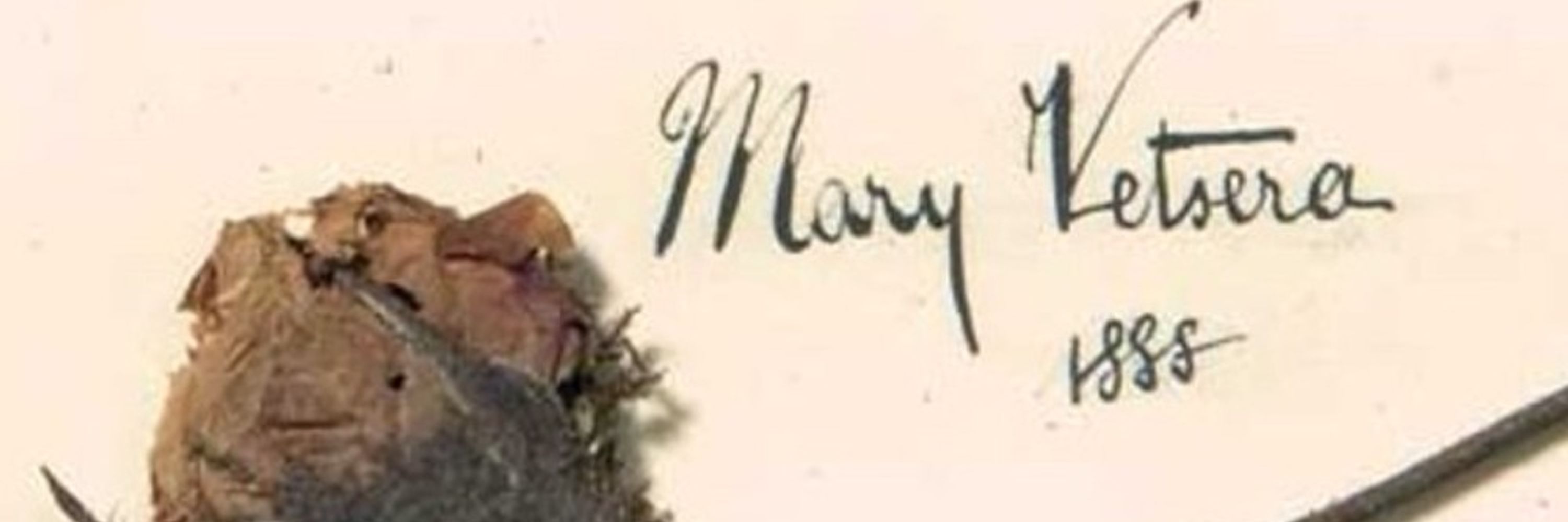 Lucy Coatman