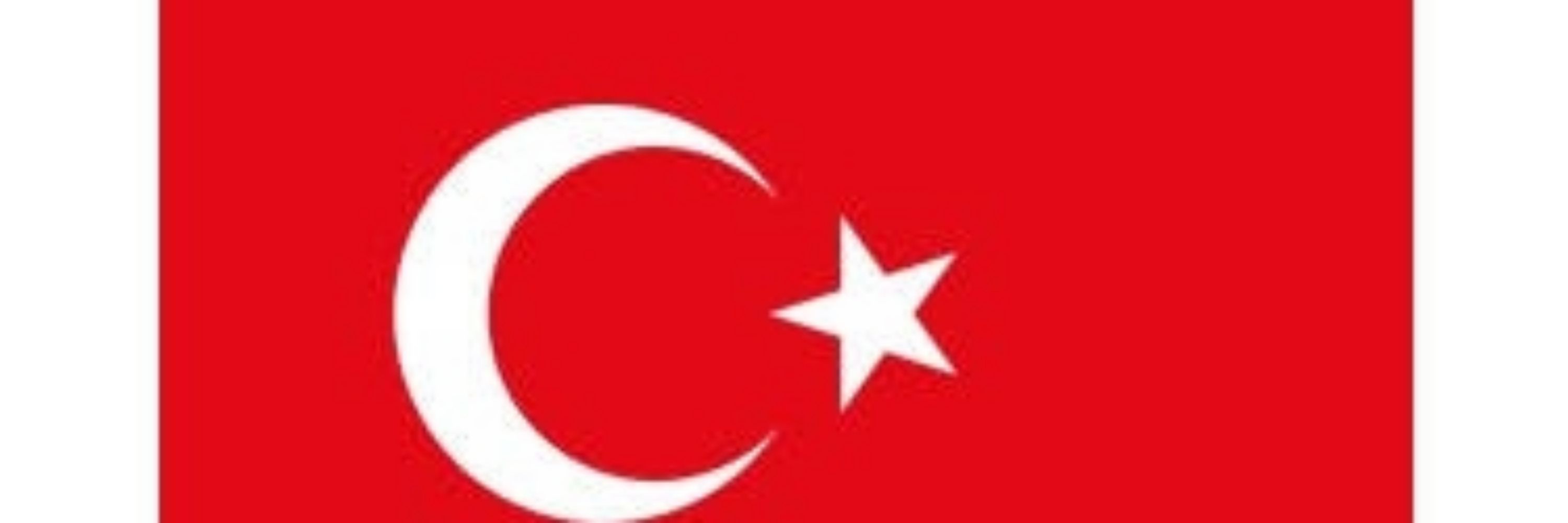 turnalar şairi
