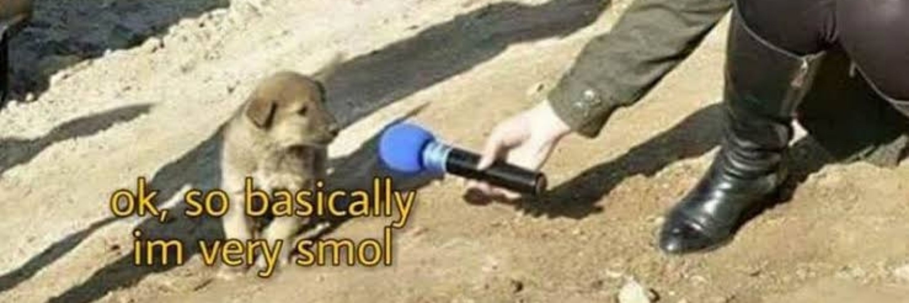 Thi