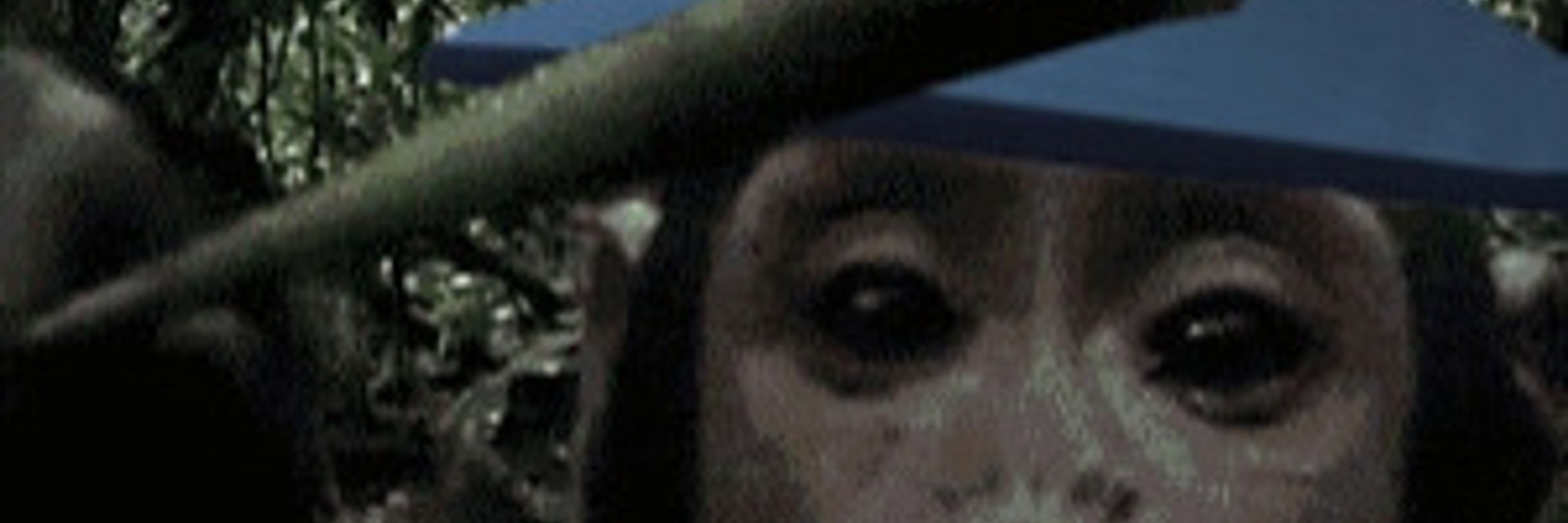 ChimpCaster