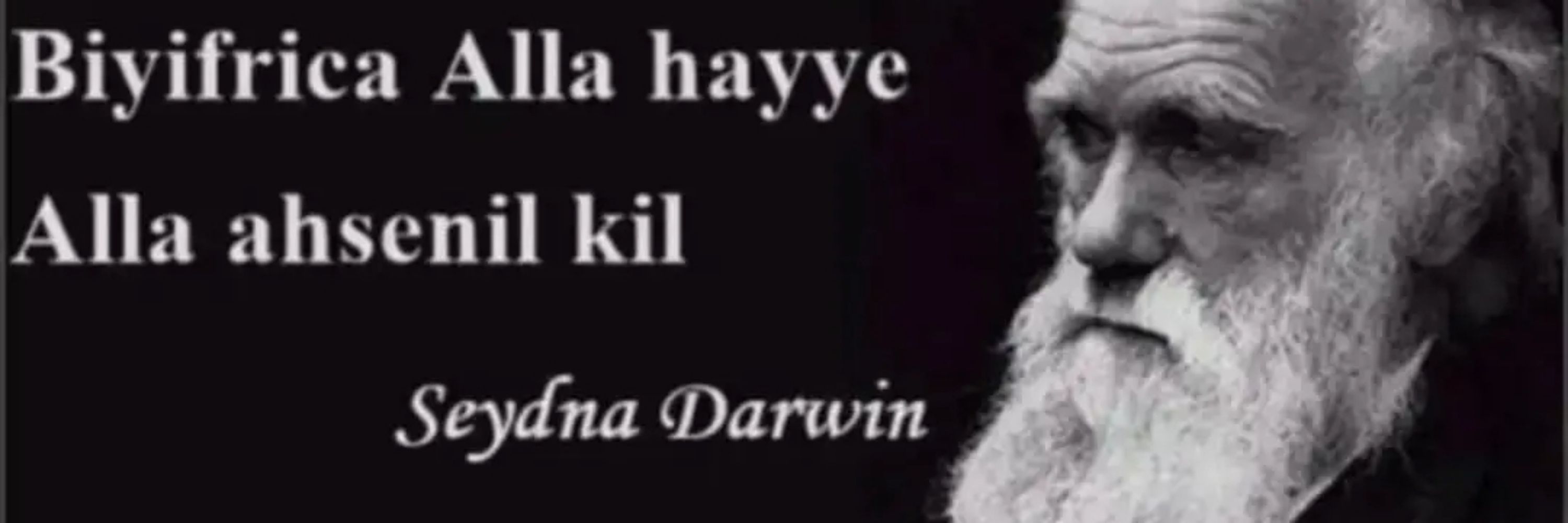 Barış Başak