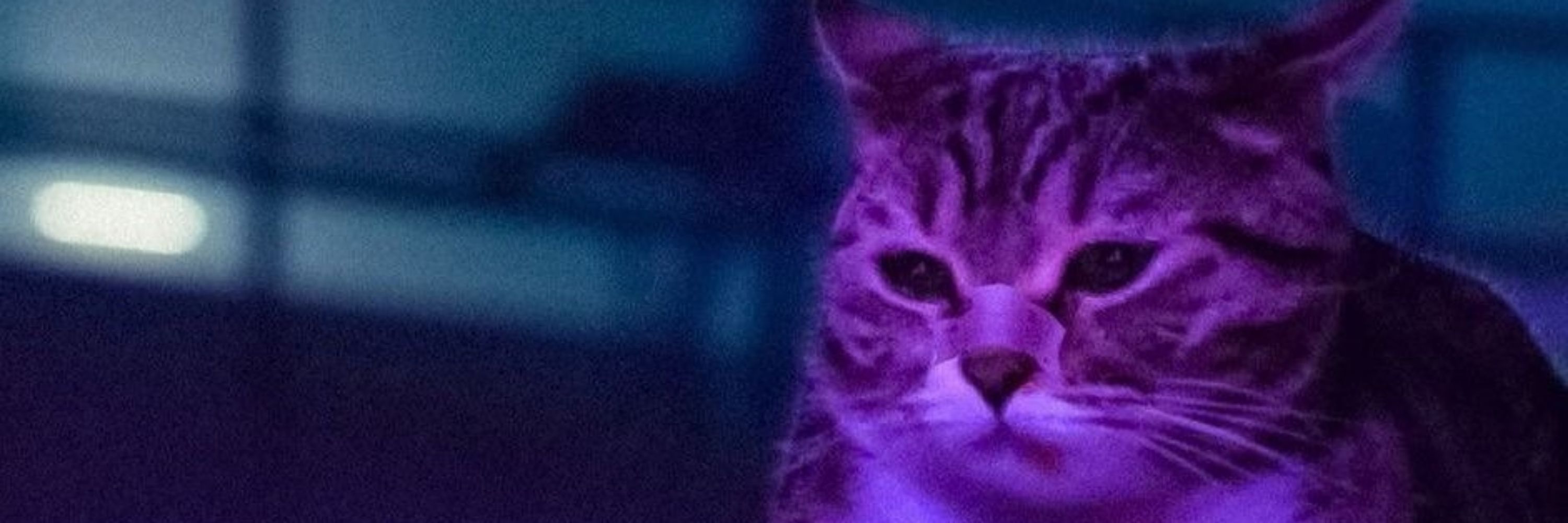 Muhahaha :3