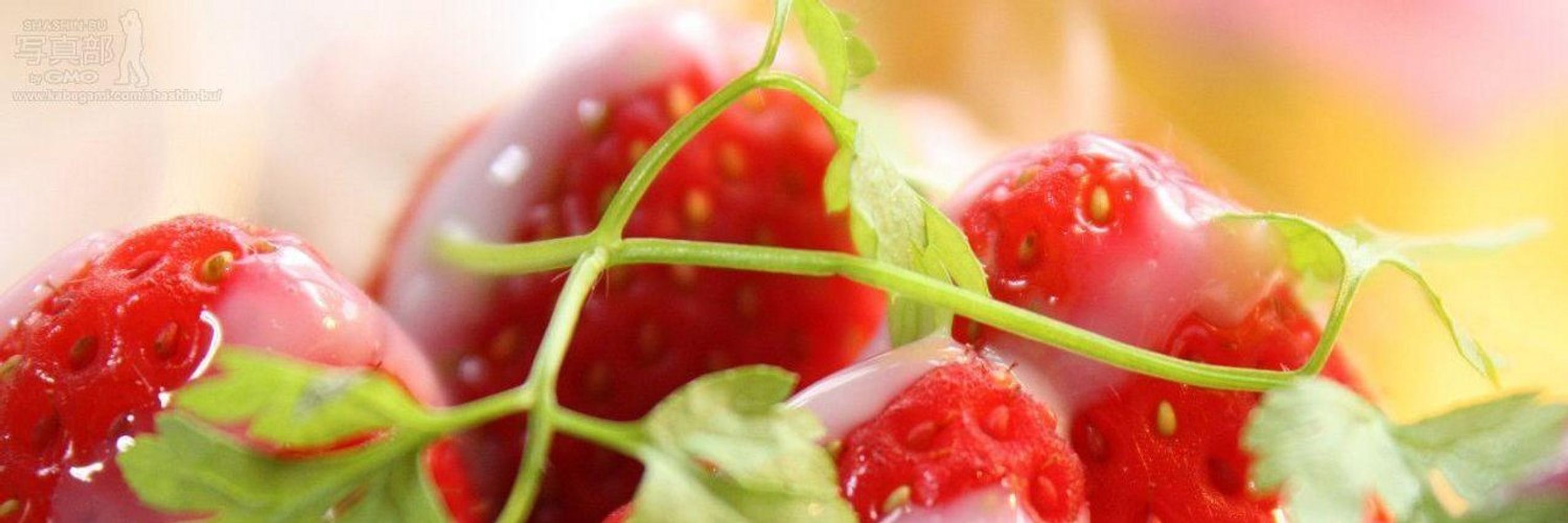 いちごパフェ(中の人)🍓
