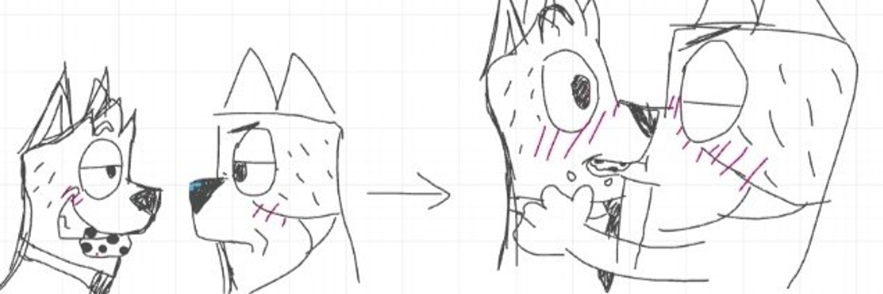 bandit x bucky toxic yaoi