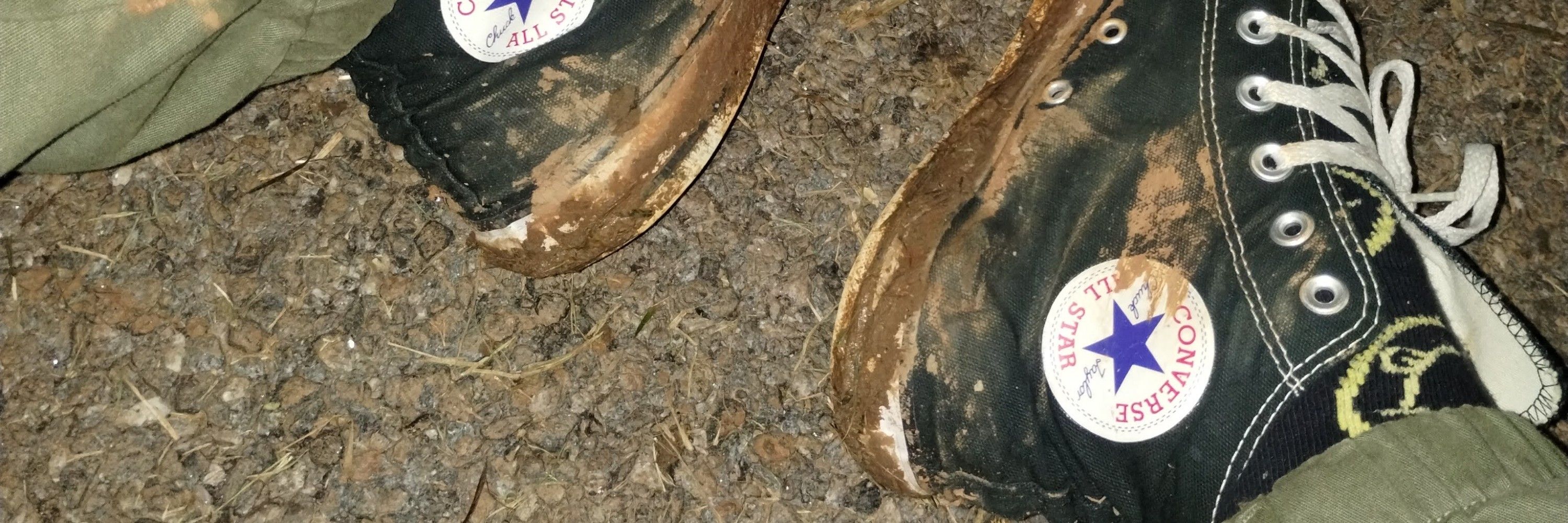 TAOnático