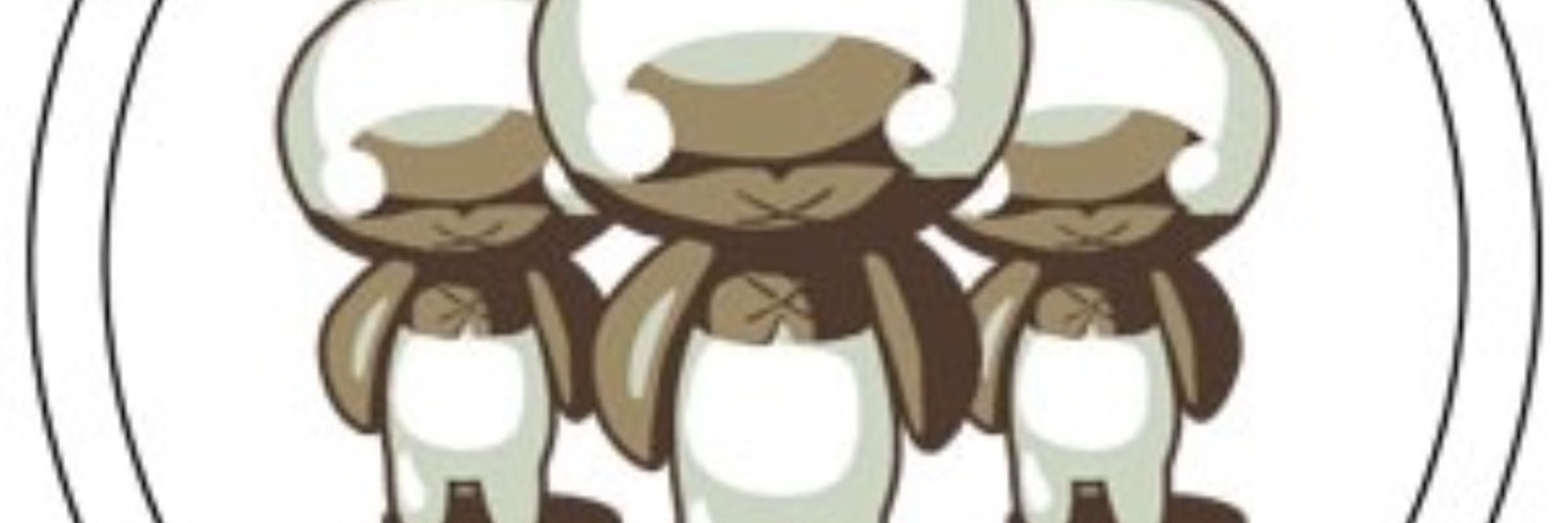 ラビ